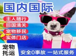普陀山航空空运国际宠物托运 【国